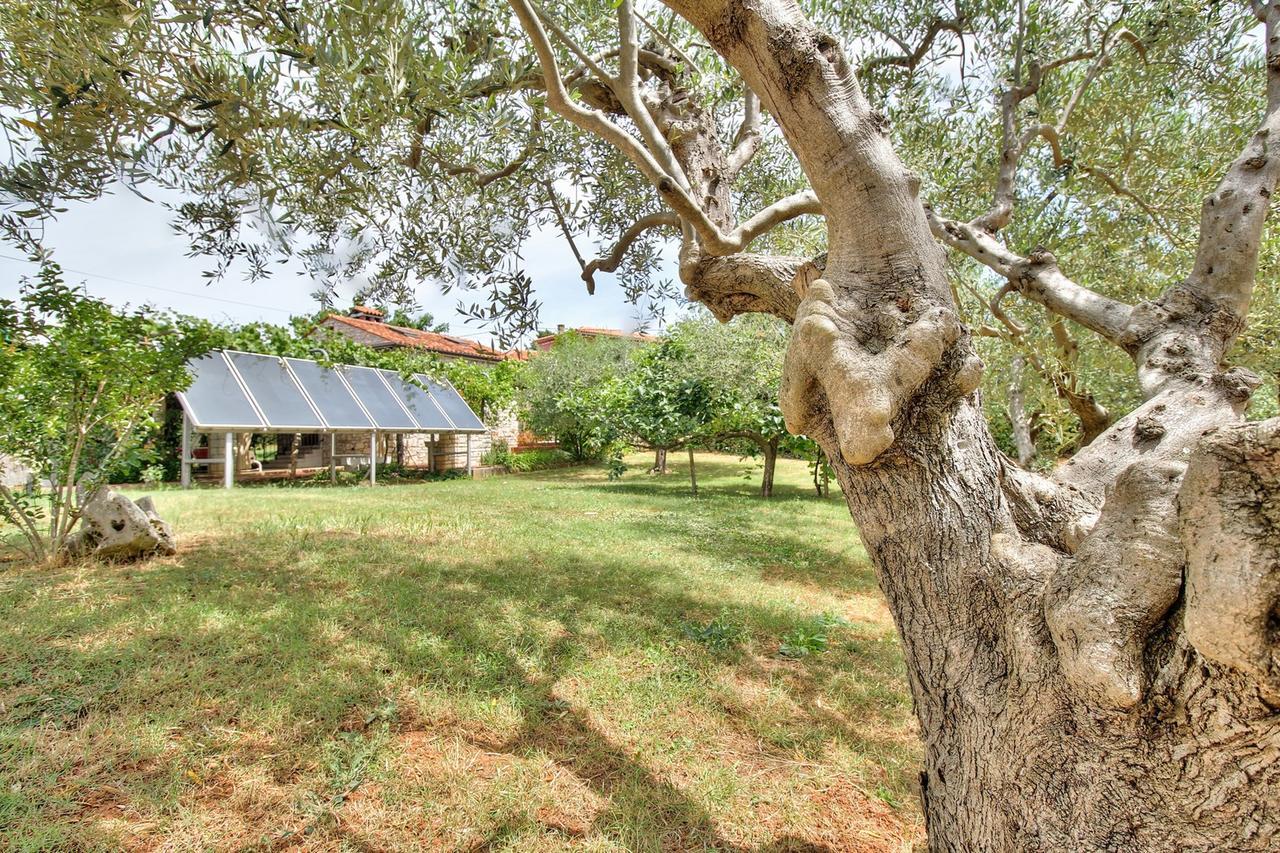 זמברטיה Nadia House With Apartments מראה חיצוני תמונה